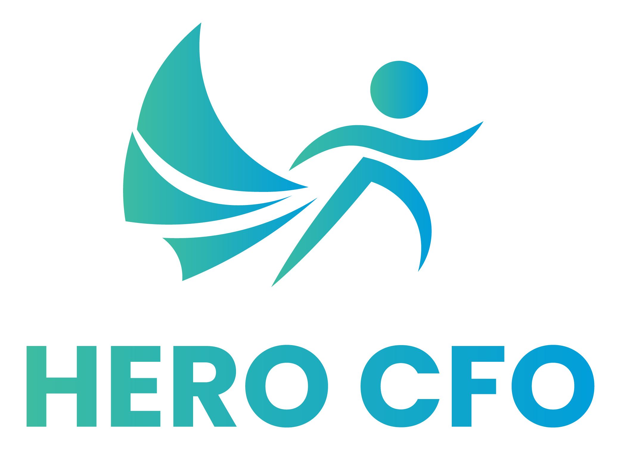HERO CFO Solution